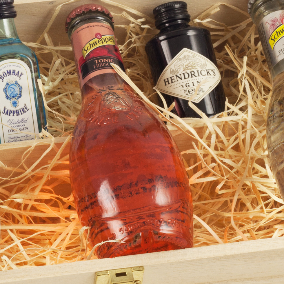 Gin Tonic Pakket - Schweppes & Gin Miniaturen