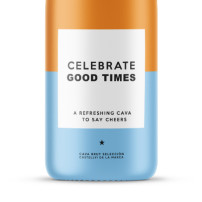 MessageBottle - Celebrate Good Times