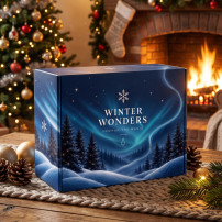 Winter Wonders - Game On!