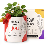 Bloomé - Speciaal voor jou - Aardbei Kweekset