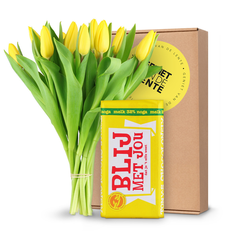 Gele Tulpen - Tony's Blij met Jou