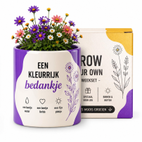 Bloomé - Een Kleurrijk Bedankje - Gemengd Boeket Kweekset
