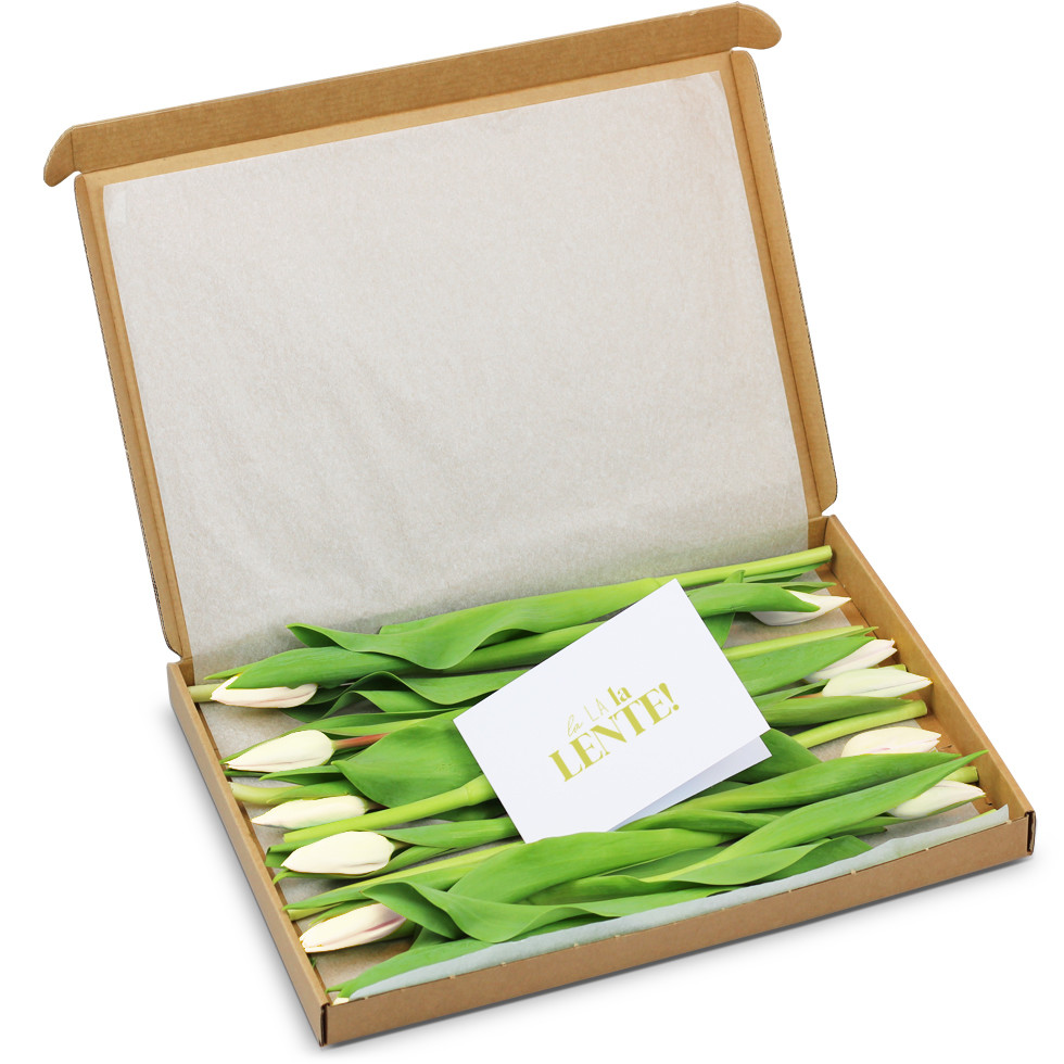 Witte Tulpen - In Brievenbus Cadeaubox