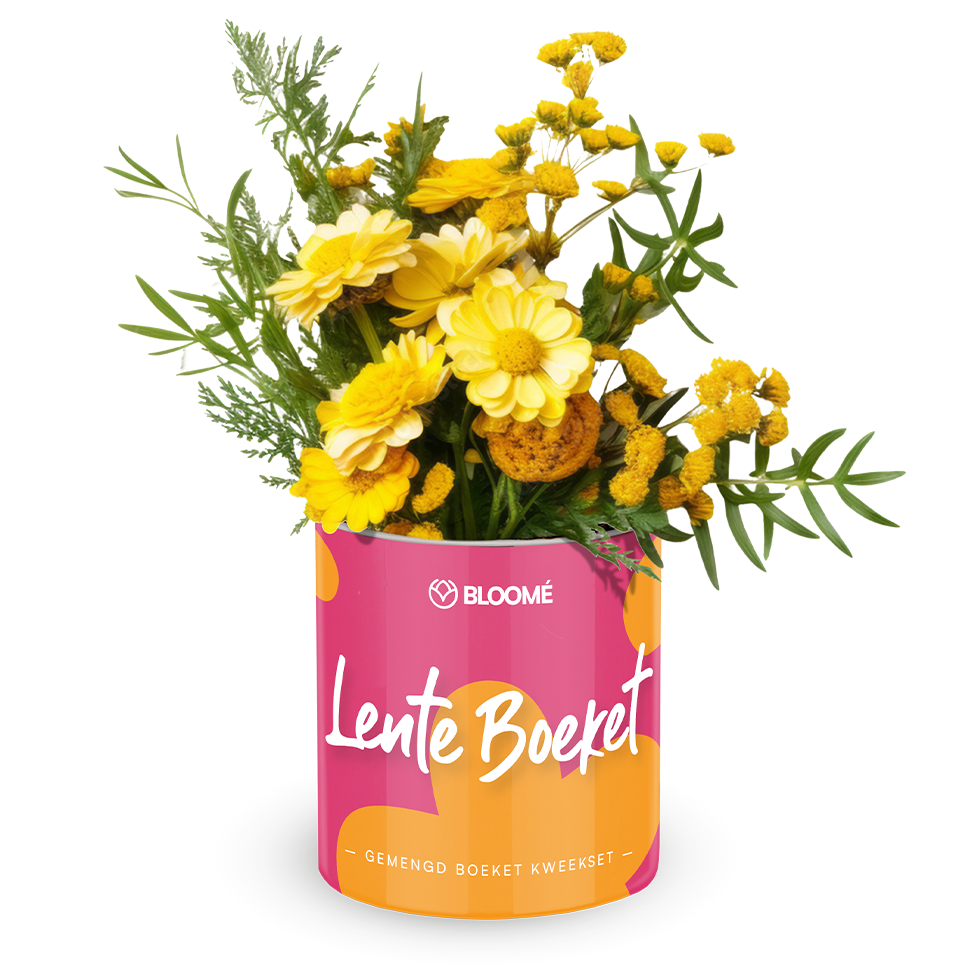 Bloomé - Lente Boeket