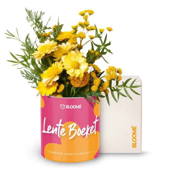 Bloomé - Lente Boeket