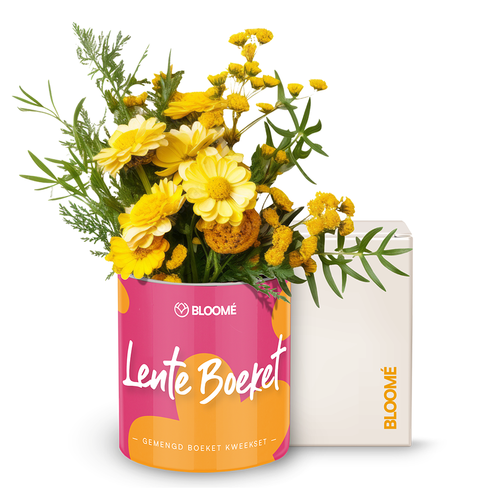 Bloomé - Lente Boeket