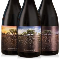 Garnachas