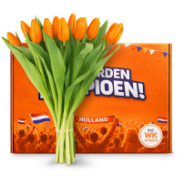Good Things in Life - Holland Oranje Tulpen 