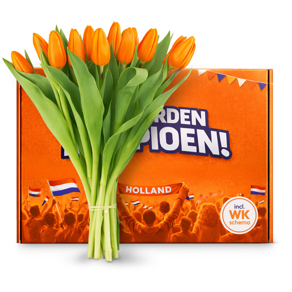 Good Things in Life - Holland Oranje Tulpen 