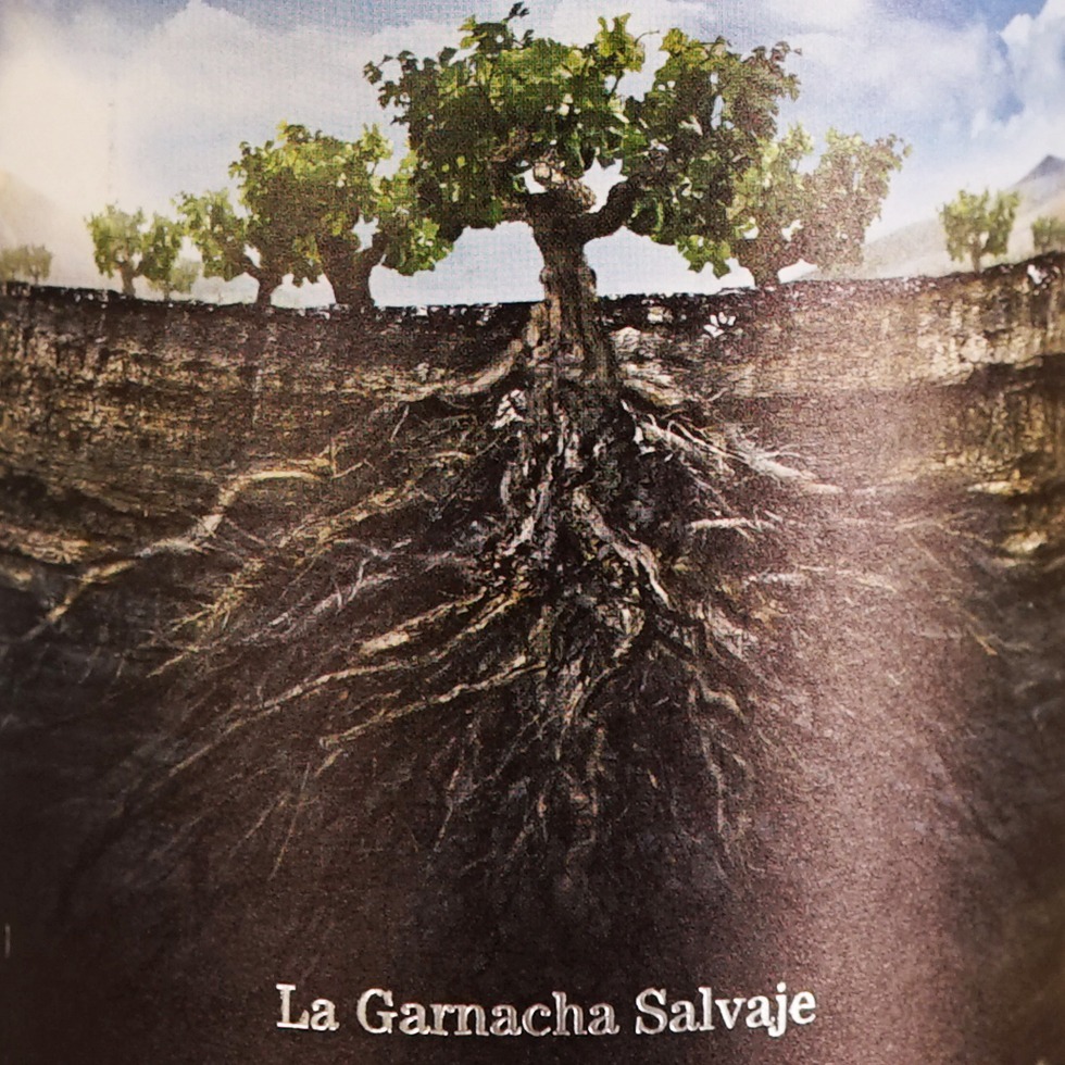 Garnachas