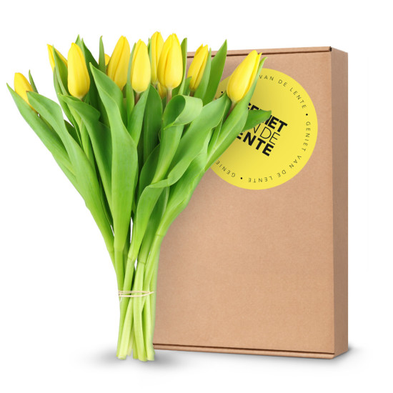 Gele Tulpen - In Brievenbus Cadeaubox