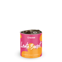 Bloomé - Lente Boeket