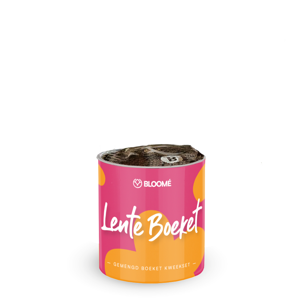 Bloomé - Lente Boeket