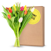 Gemengde Tulpen - In Brievenbus Cadeaubox