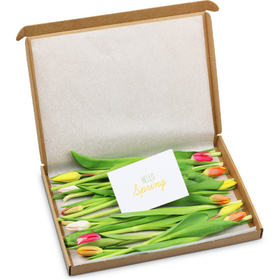 Gemengde Tulpen - In Brievenbus Cadeaubox