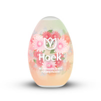 Het Blije EI - Eigen Ontwerp