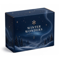 Winter Wonders - Game On!
