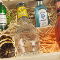 Gin Tonic Pakket - Schweppes & Gin Miniaturen