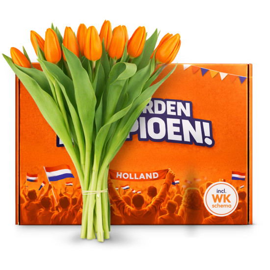 Good Things in Life - Holland Oranje Tulpen 