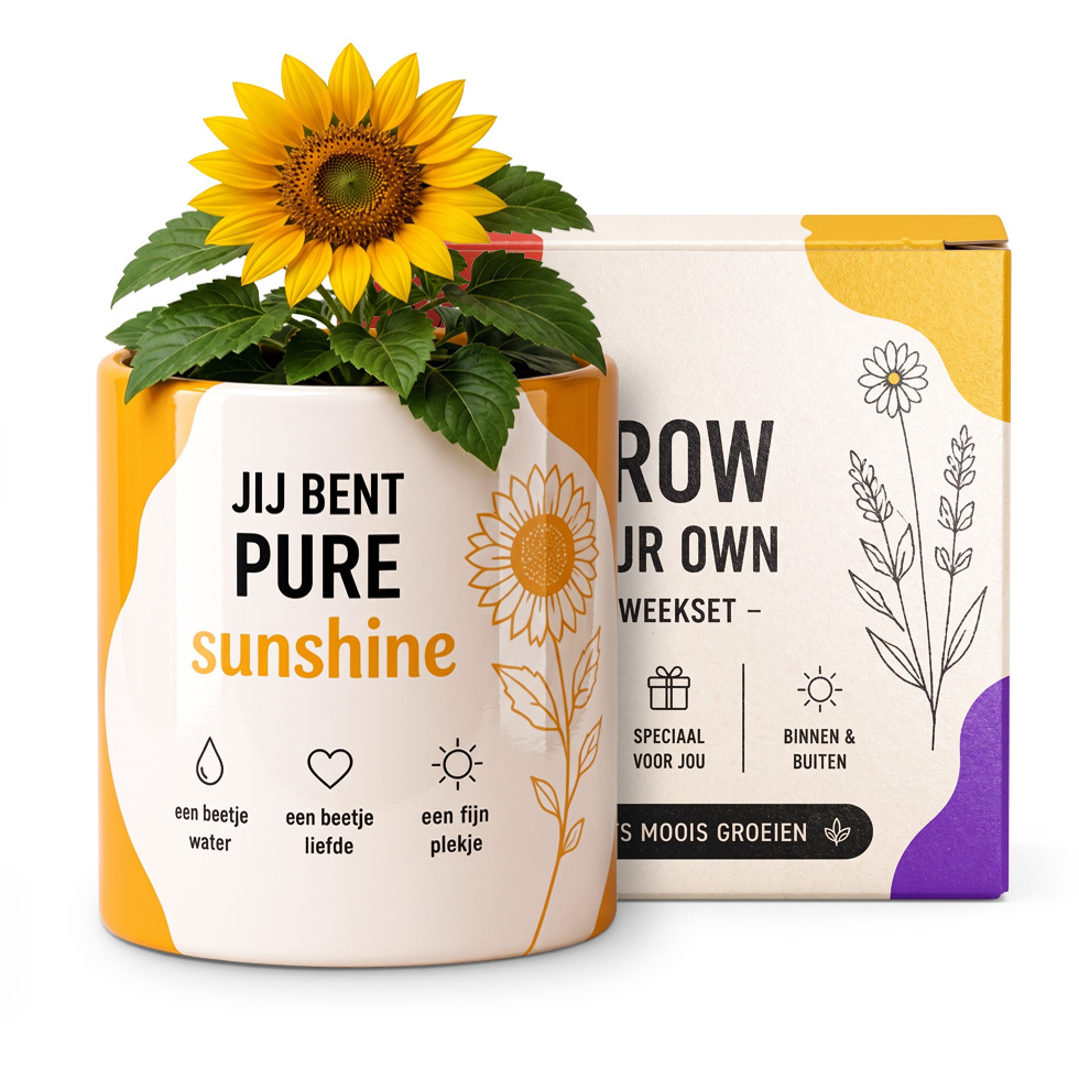 Bloomé - Jij Bent Pure Sunshine - Zonnebloem Kweekset