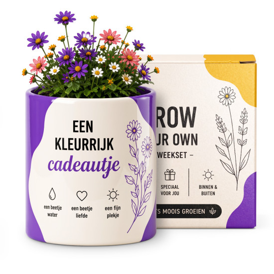 Bloomé - Een Kleurrijk Cadeautje - Gemengd Boeket Kweekset