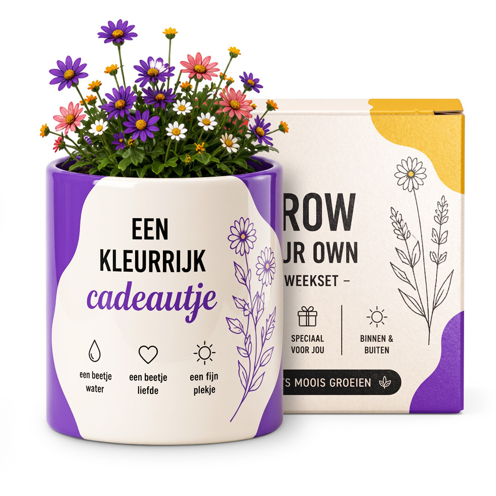 Bloomé - Een Kleurrijk Cadeautje - Gemengd Boeket Kweekset